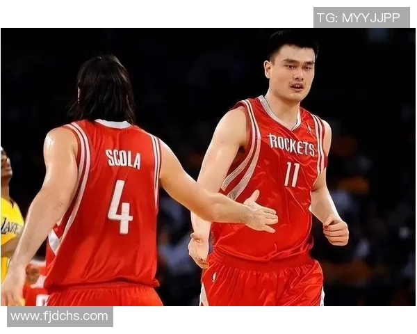 姚明在NBA历史篮板榜上的辉煌成就与影响力分析